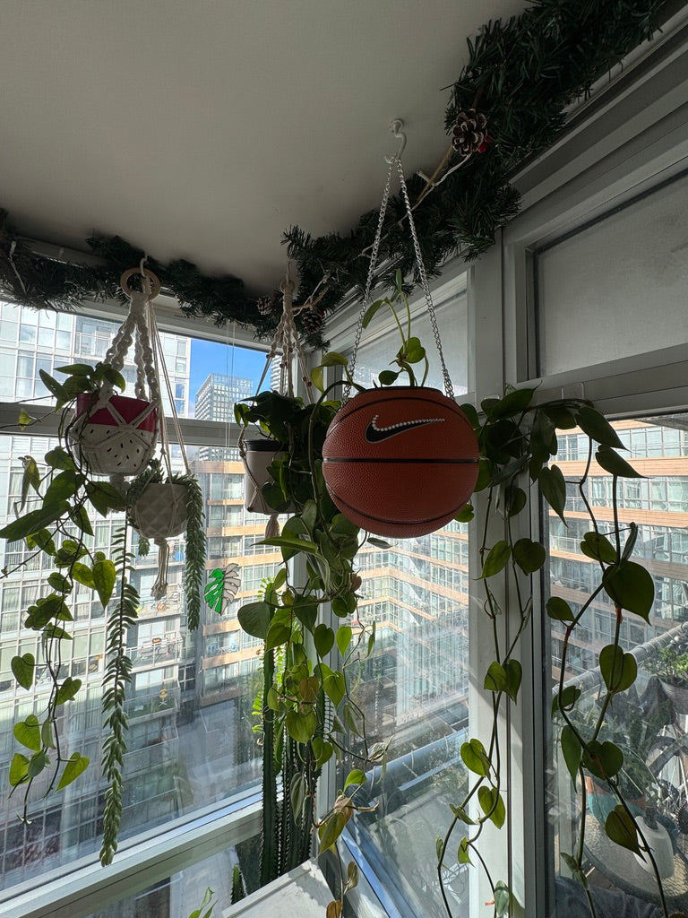 Nike Mini Basketball Hanging Planter (Silver Chain OG - Crystal)