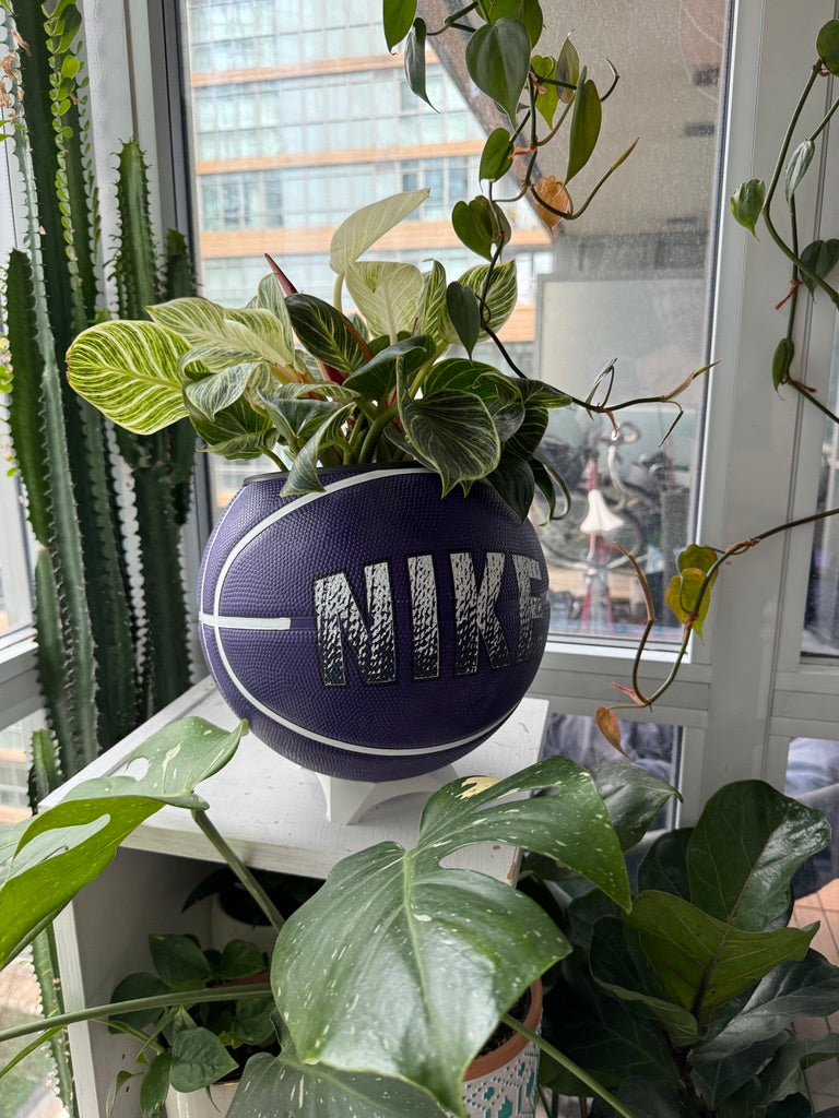 Nike Large Basketball Planter (Nike Purple)