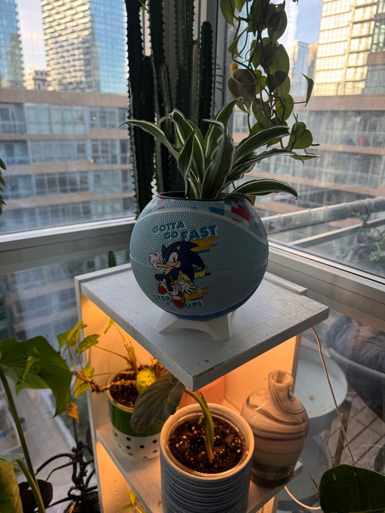 Mini Basketball Planter (Sonic the Hedgehog)