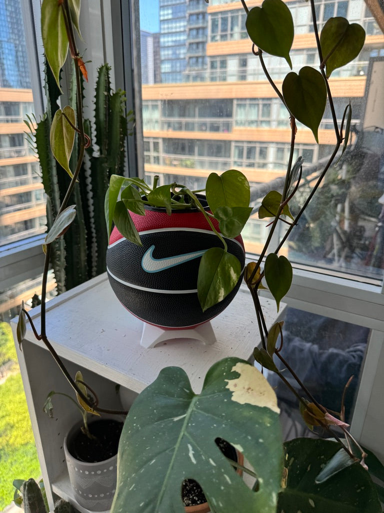 Nike Mini Basketball Planter (Blue Cherry)
