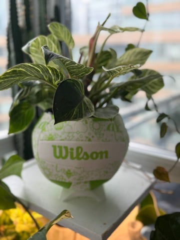 Large Volleyball Planter (Green Spring)