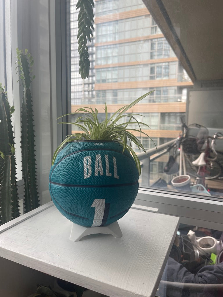Mini Basketball Planter (Lamelo Ball)