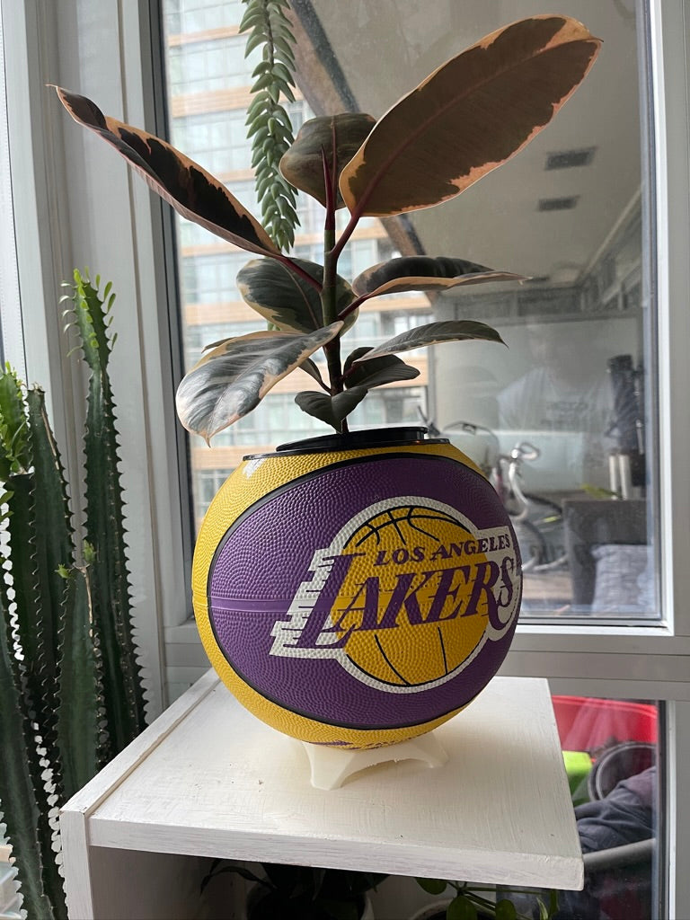 Large Basketball Planter (Los Angeles Lakers - OG)