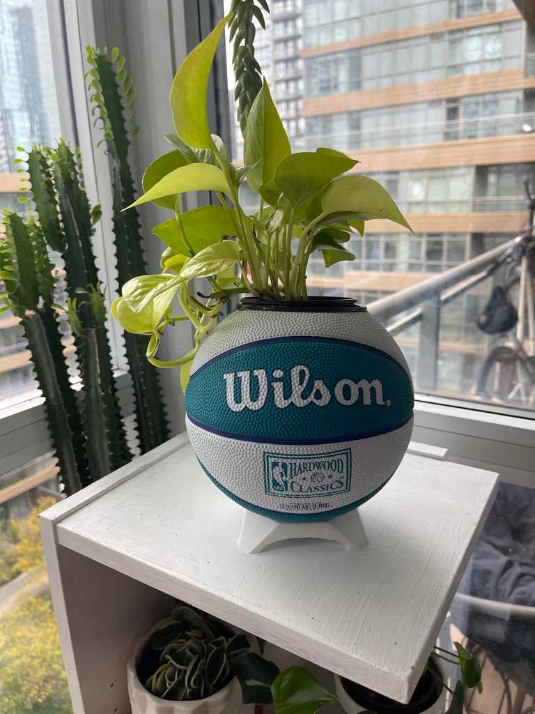 Mini Basketball Planter (Charlotte Hornets)