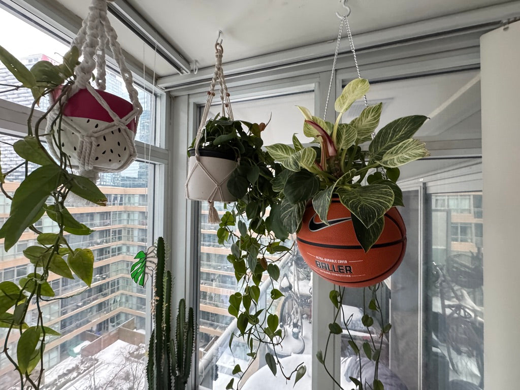 Nike Large Basketball Hanging Planter (Baller - Silver Chain)