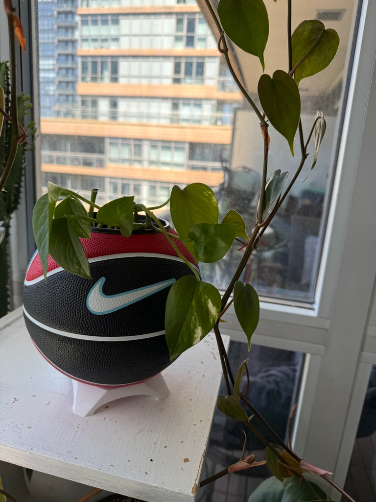Nike Mini Basketball Planter (Blue Cherry)