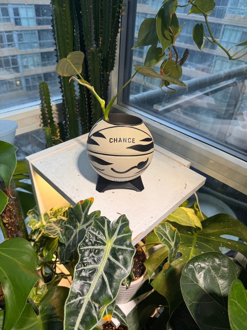 Ultra-Mini Basketball Planter (Zebra)