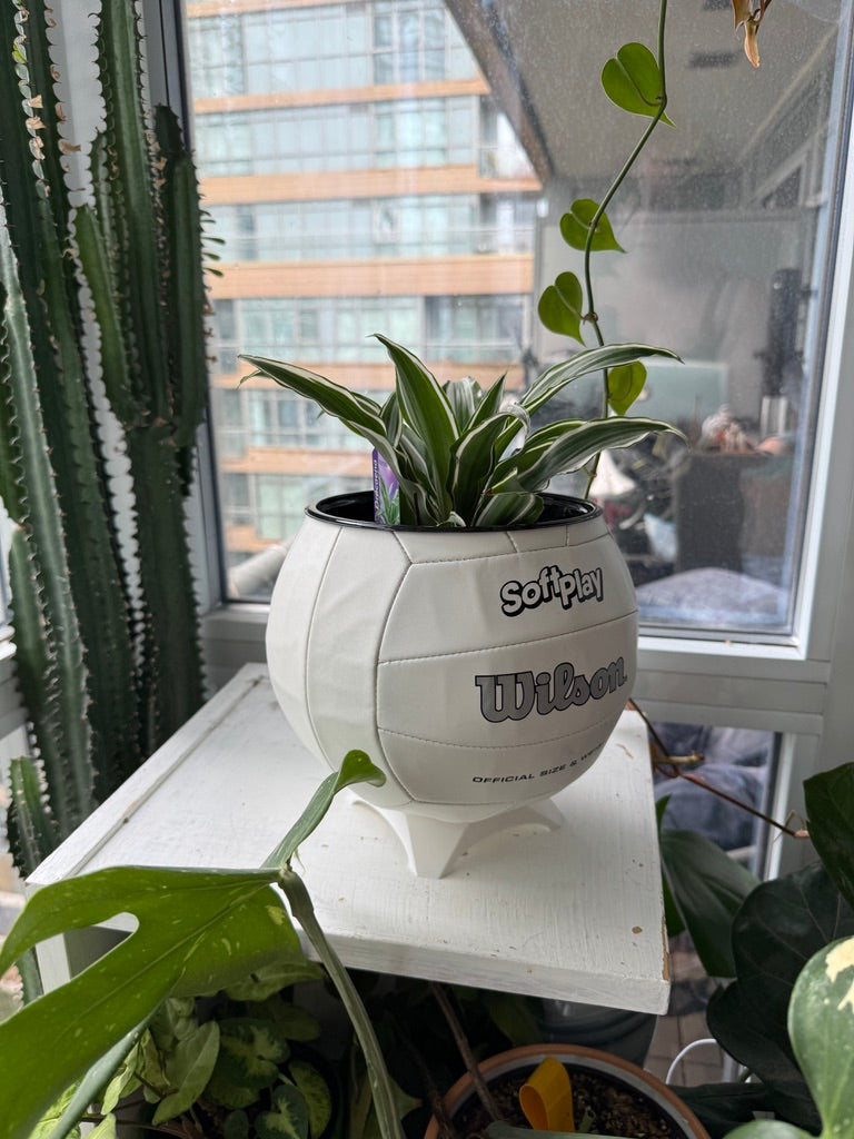 Large Volleyball Planter (Original)
