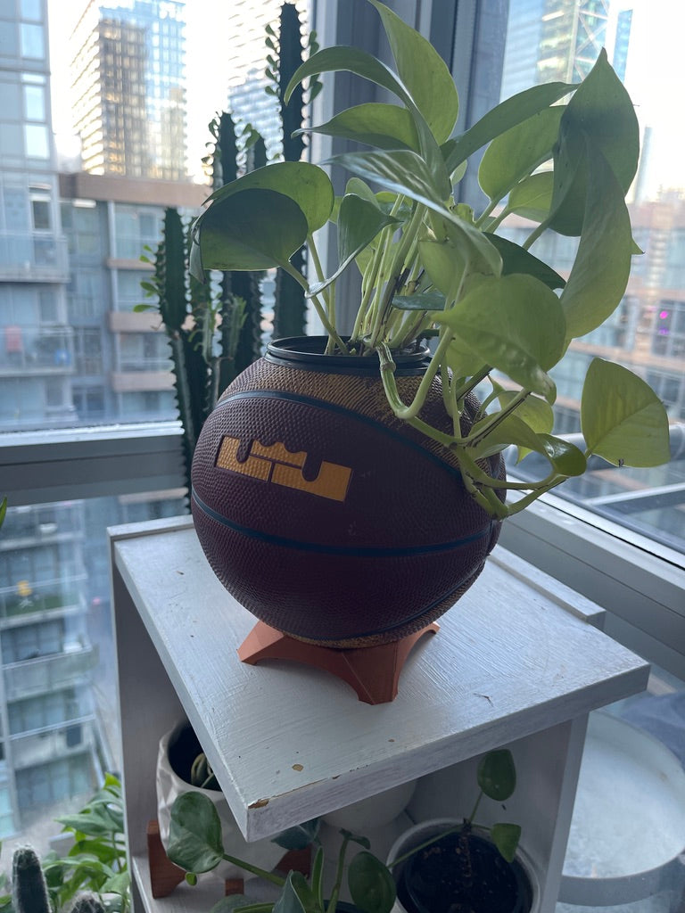 Nike Mini Basketball Planter (Lebron James)