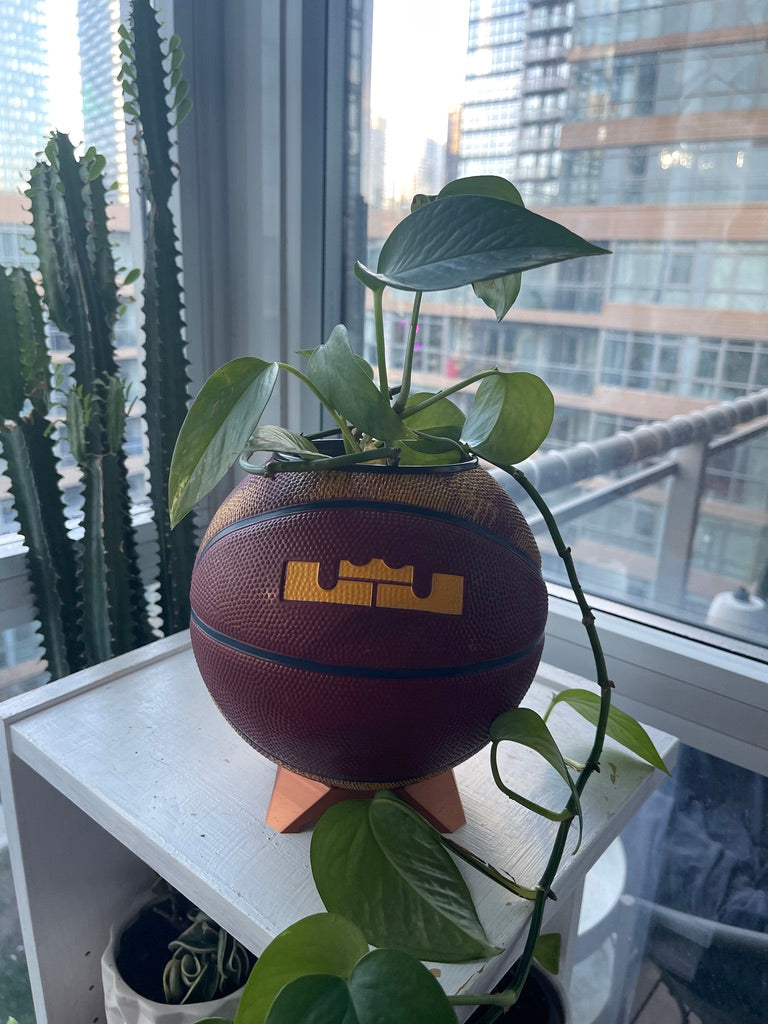 Nike Mini Basketball Planter (Lebron James)