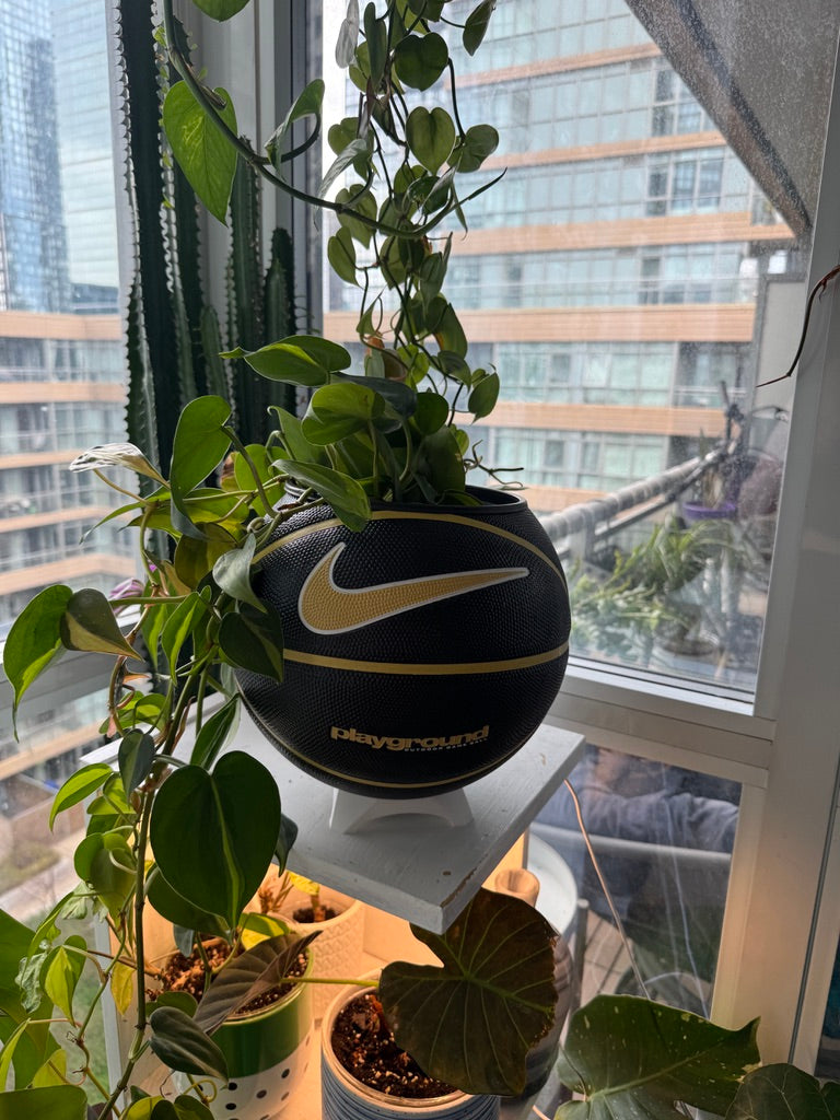 Nike Large Basketball Planter (Nike Black & Gold)