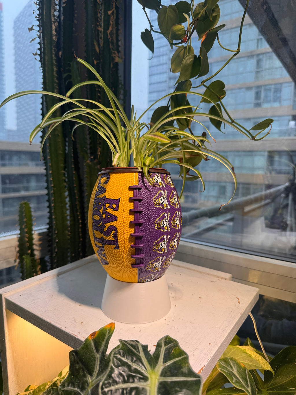 Mini Football Planter (East Carolina University Pirates)