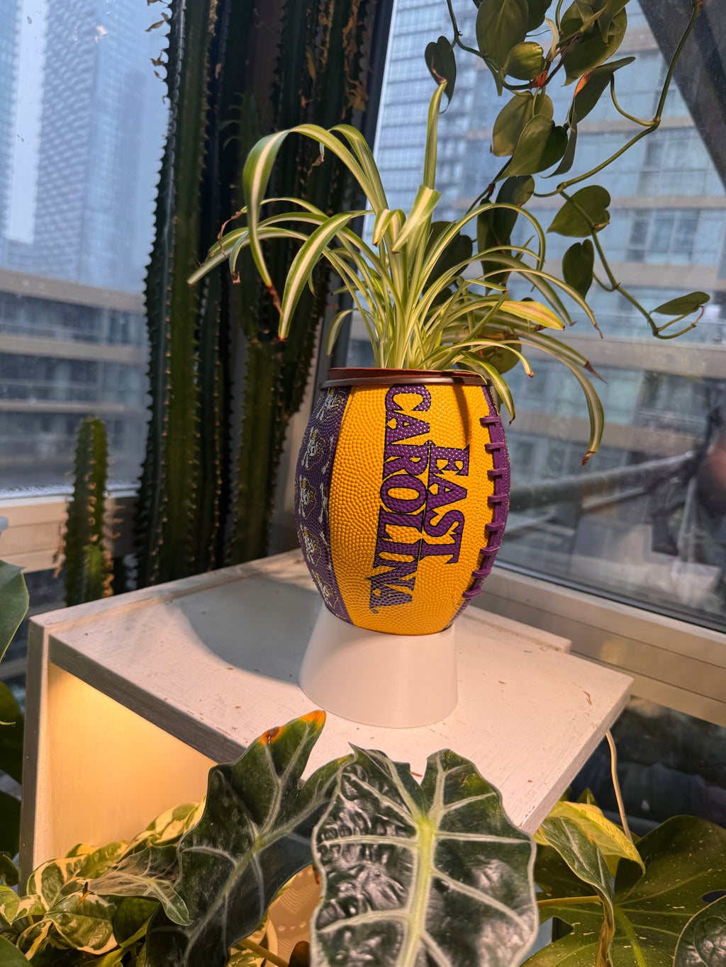 Mini Football Planter (East Carolina University Pirates)