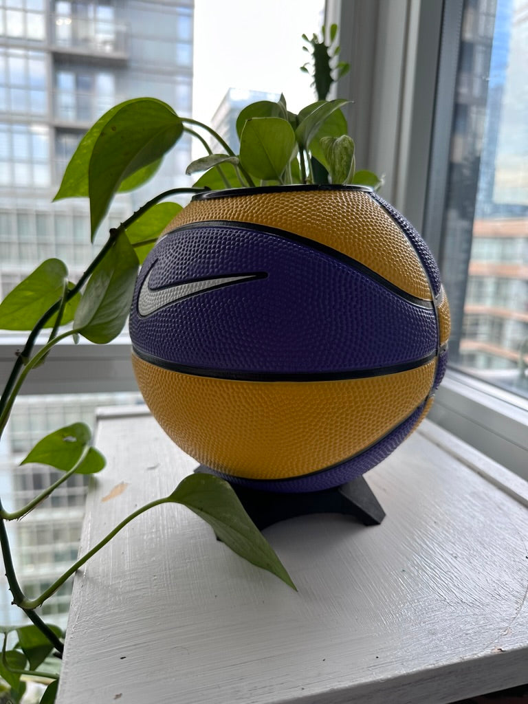 Nike Mini Basketball Planter (Purple & Yellow)