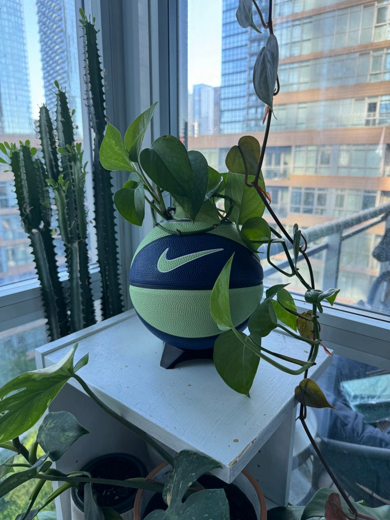 Nike Mini Basketball Planter (Blueberry Lime)