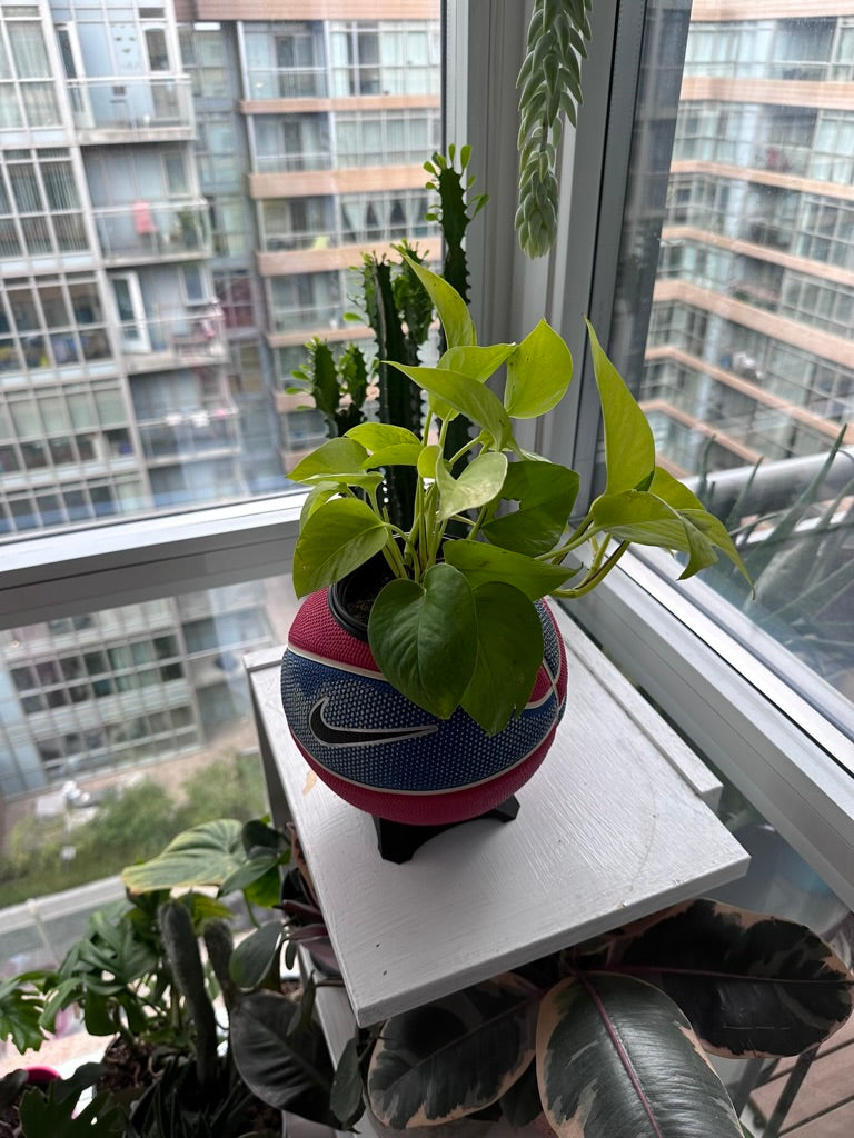 Nike Mini Basketball Planter (Game Royal Silver)