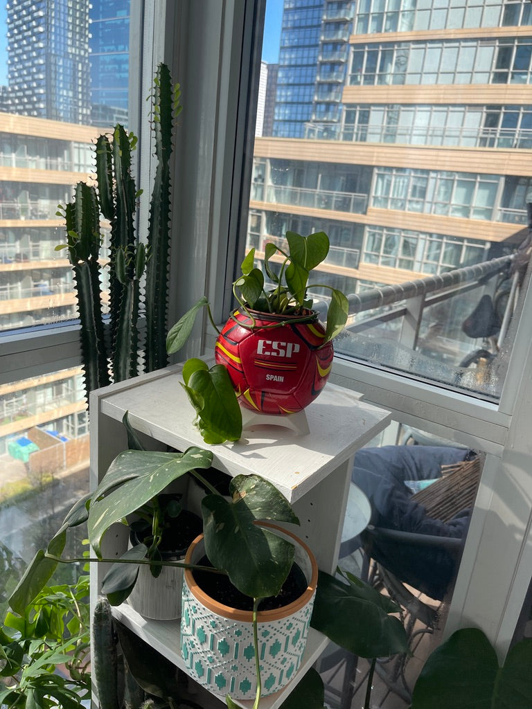 Mini Soccer Ball Planter (Spain)