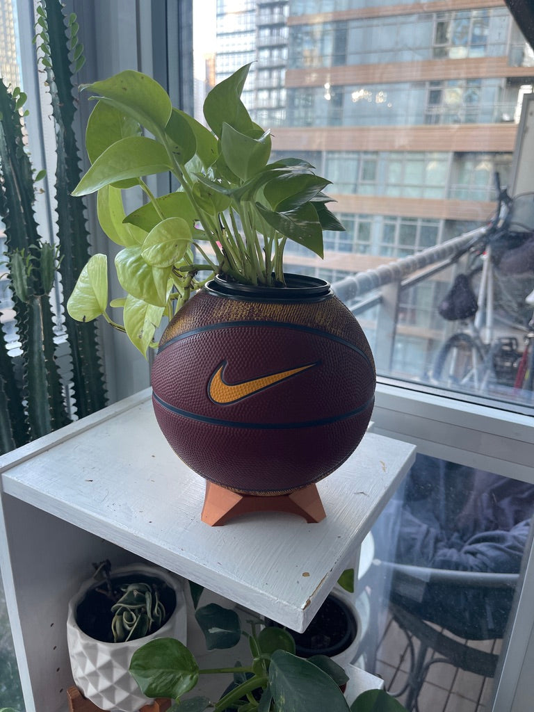 Nike Mini Basketball Planter (Lebron James)