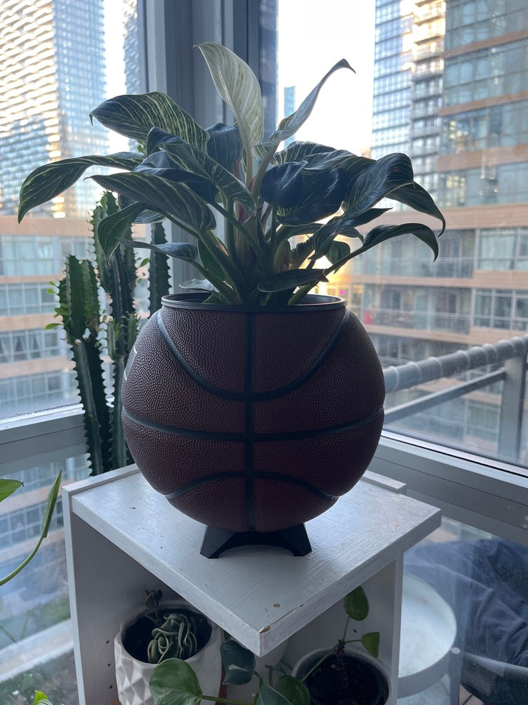 Nike Large Basketball Planter (LeBron Brown)
