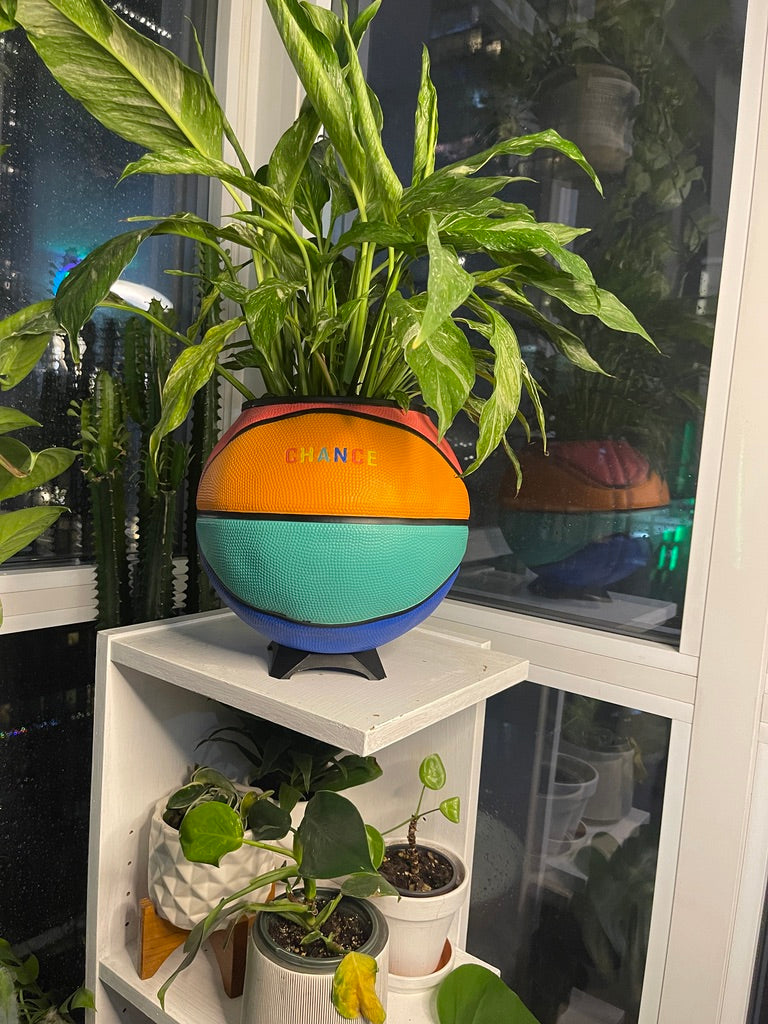 Large Basketball Planter (Chance - Rainbow)