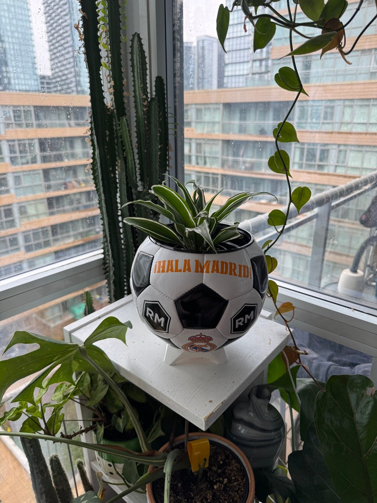 Large Soccer Ball Planter (Real Madrid CF)