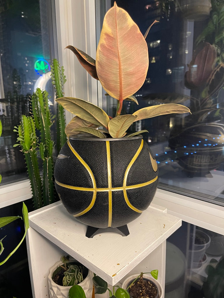 Nike Large Basketball Planter (Black & Gold All-Court)