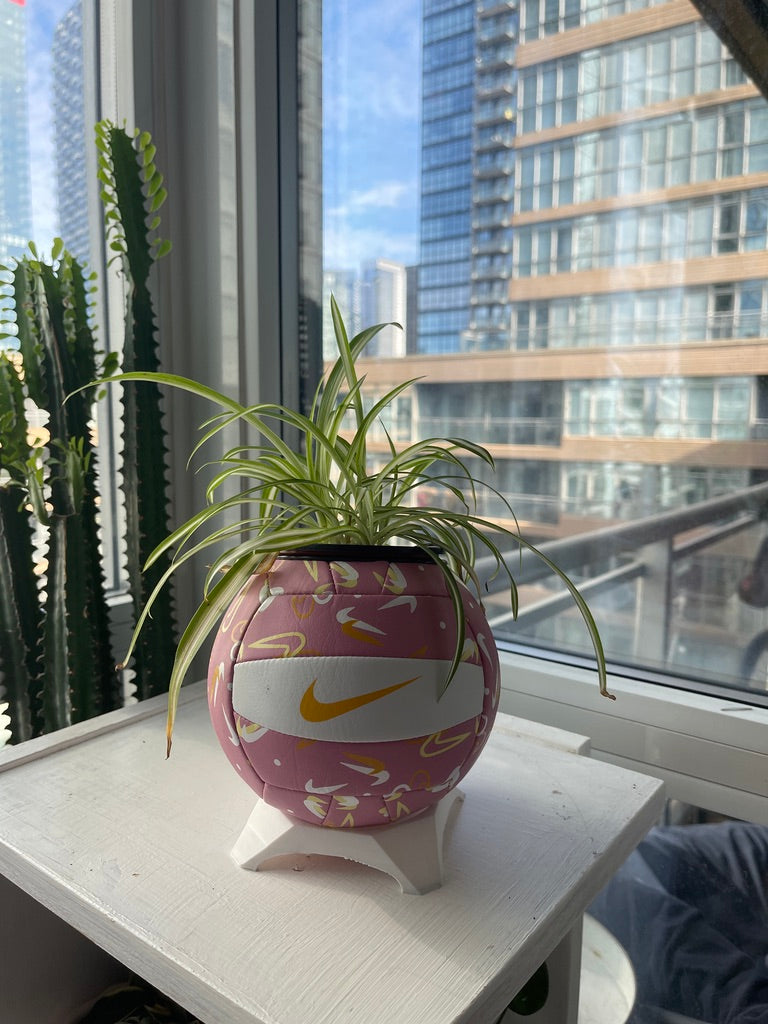Nike Mini Volleyball Planter (Pink Swoosh)