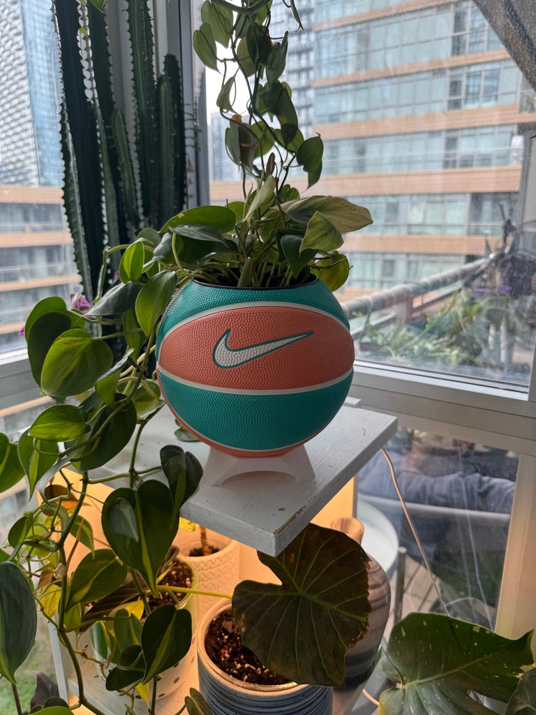 Nike Mini Basketball Planter (Malibu Beach)