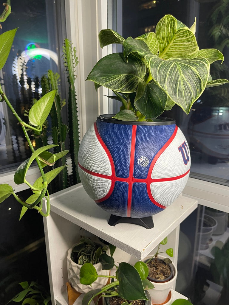 Large Basketball Planter (Sacramento Kings)