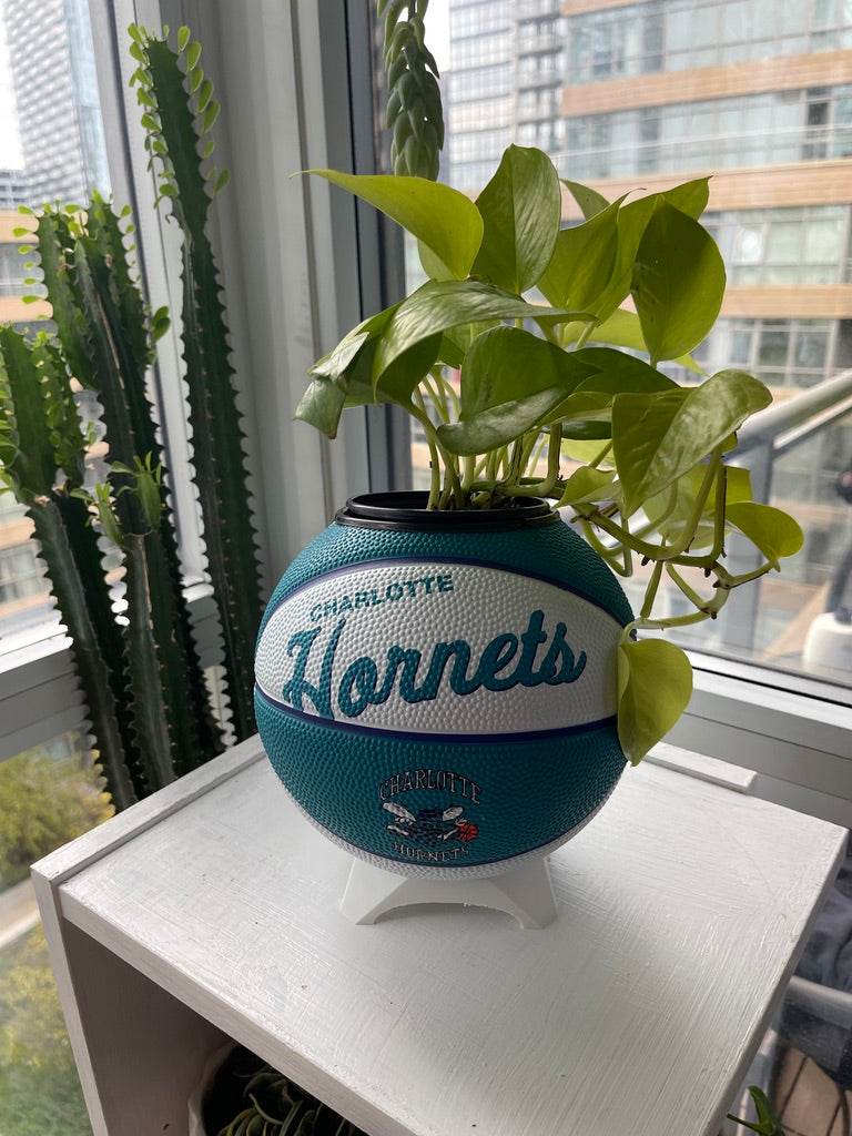 Mini Basketball Planter (Charlotte Hornets)