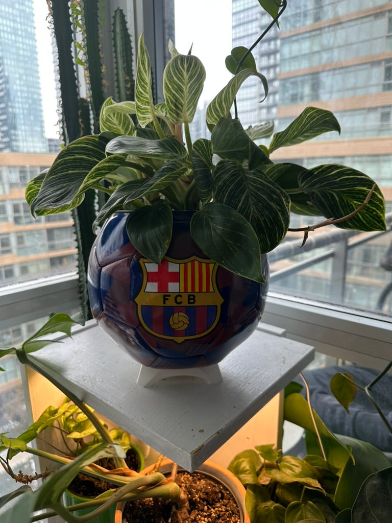 Large Soccer Ball Planter (FC Barcelona OG)