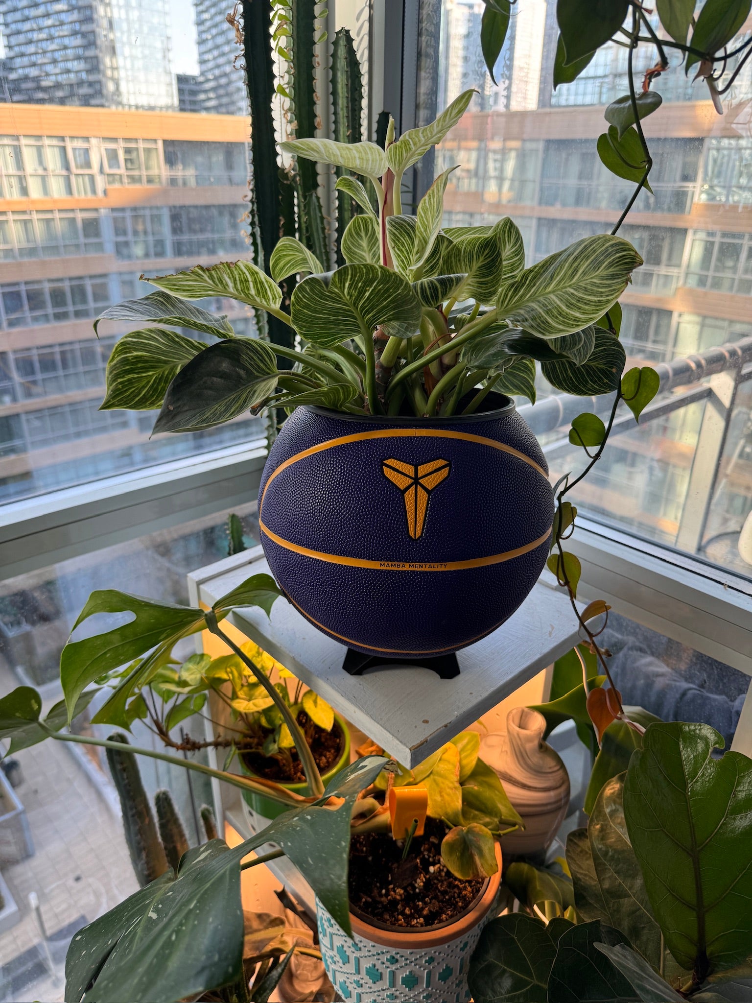 Nike Jordan Large Basketball Planter (Kobe Bryant Mamba Purple)