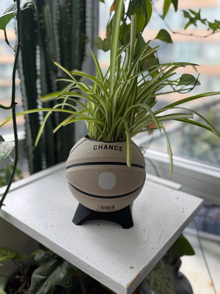 Ultra-Mini Basketball Planter (Bunny)