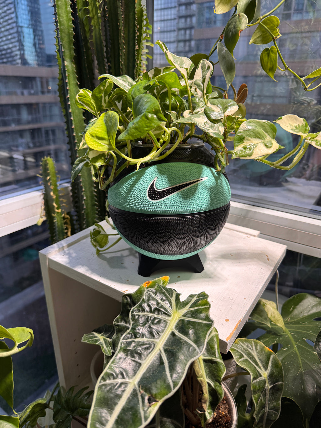 Nike Mini Basketball Planter (Tiff Blue & Black)