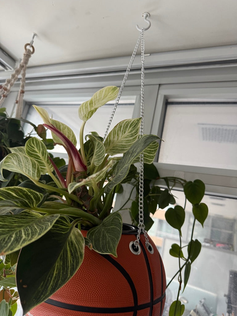 Nike Large Basketball Hanging Planter (Baller - Silver Chain)