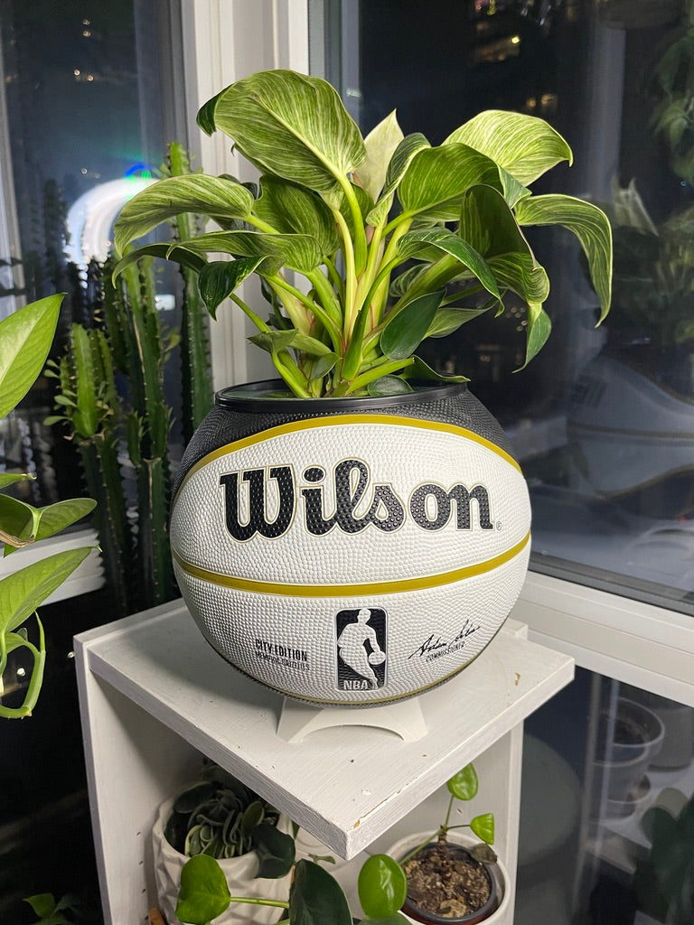 Large Basketball Planter (Memphis Grizzlies)