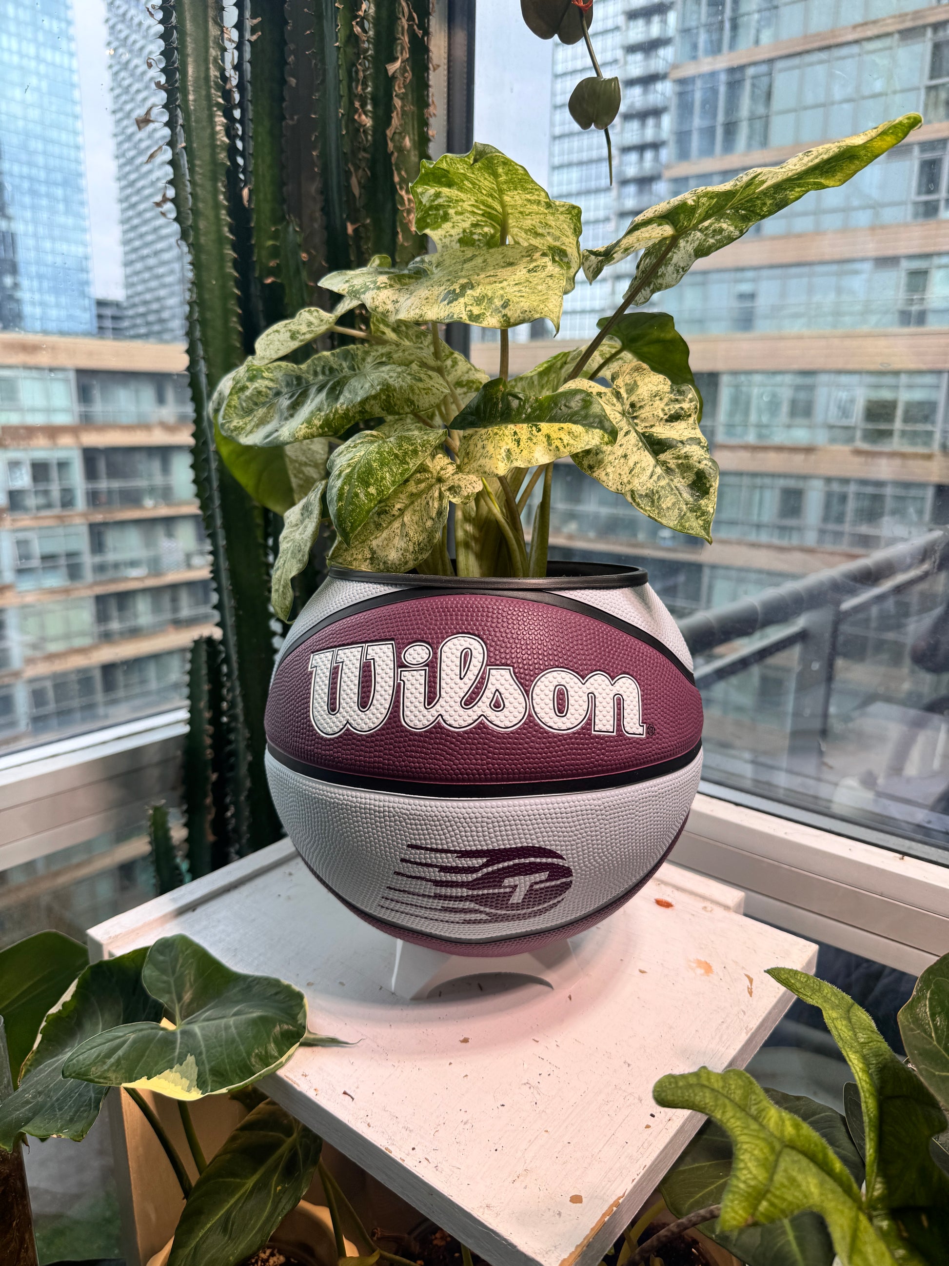 Large Basketball Planter (WNBA Toronto Tempo)