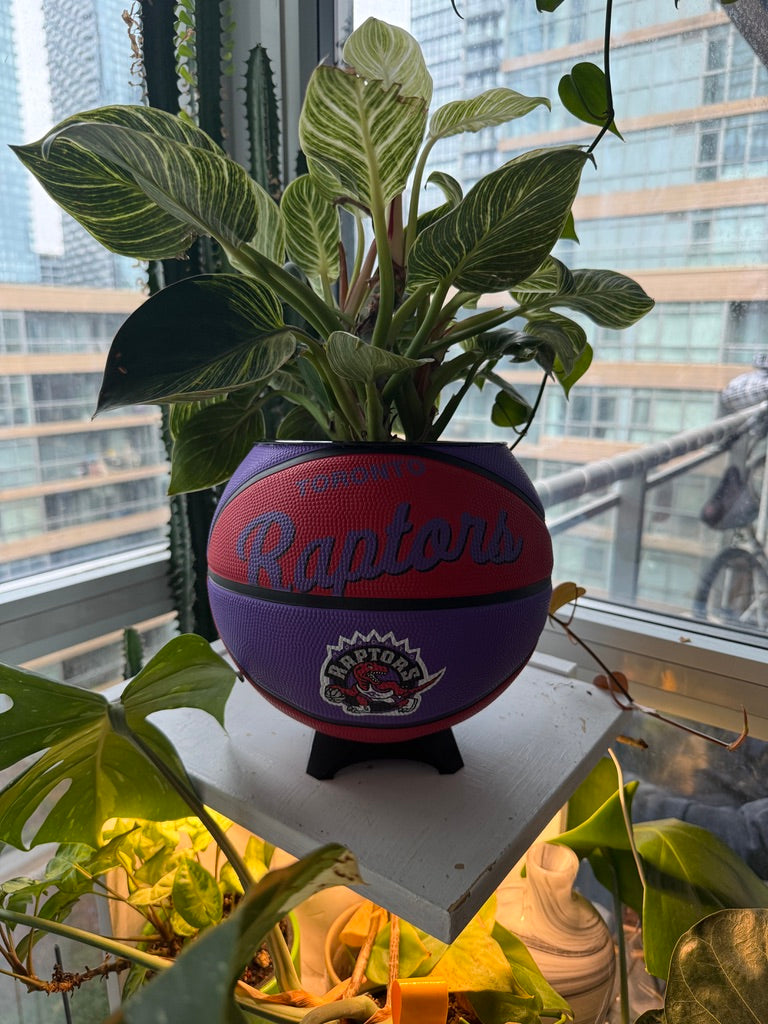 Large Basketball Planter (Toronto Raptors)
