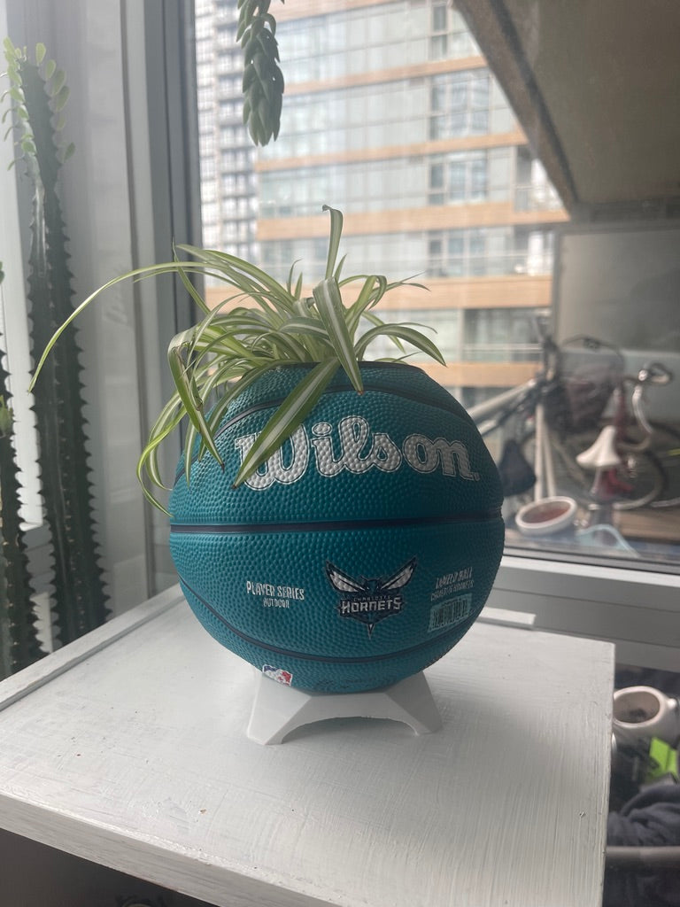 Mini Basketball Planter (Lamelo Ball)