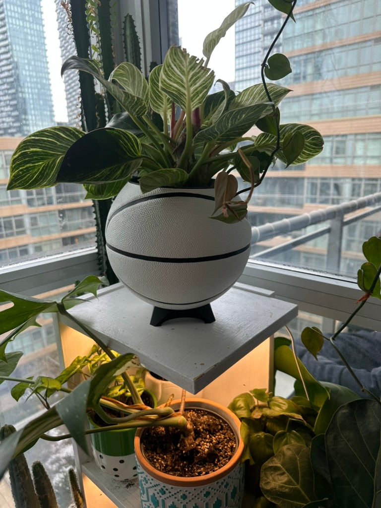 Nike Large Basketball Planter (White & Black)