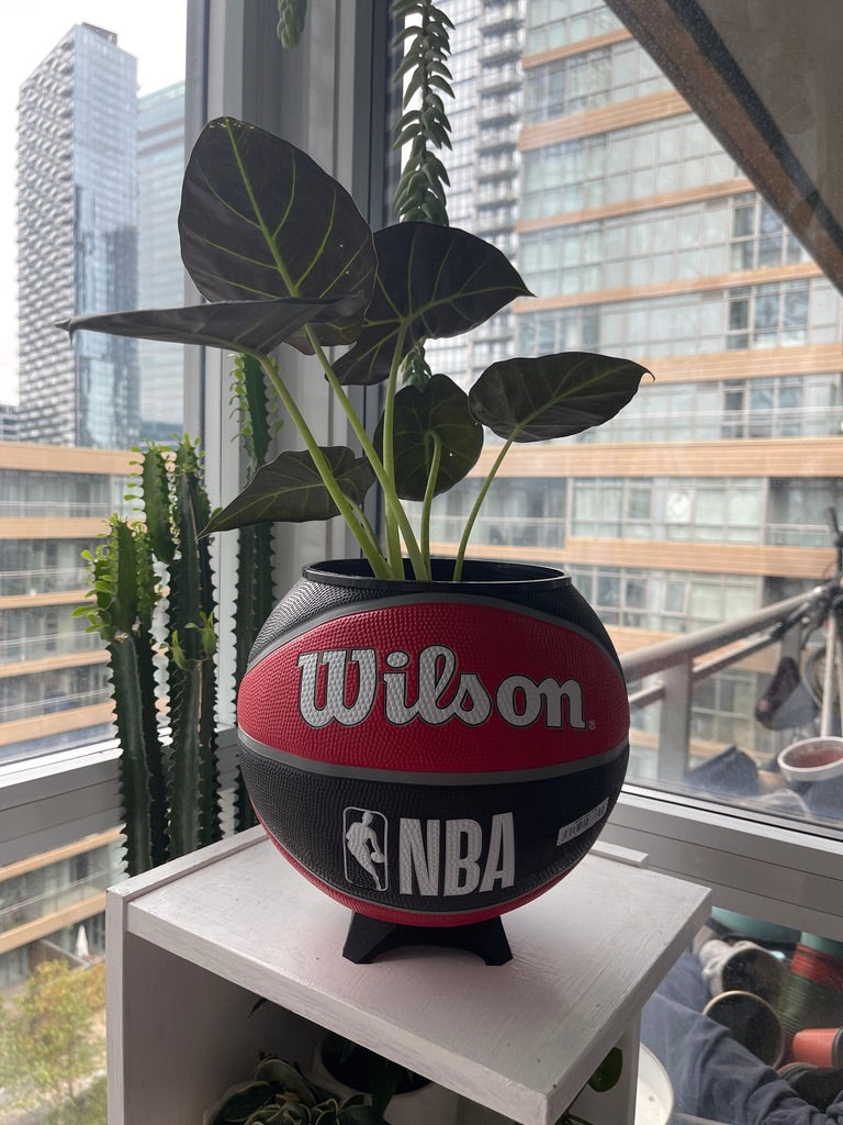 Large Basketball Planter (Toronto Raptors)