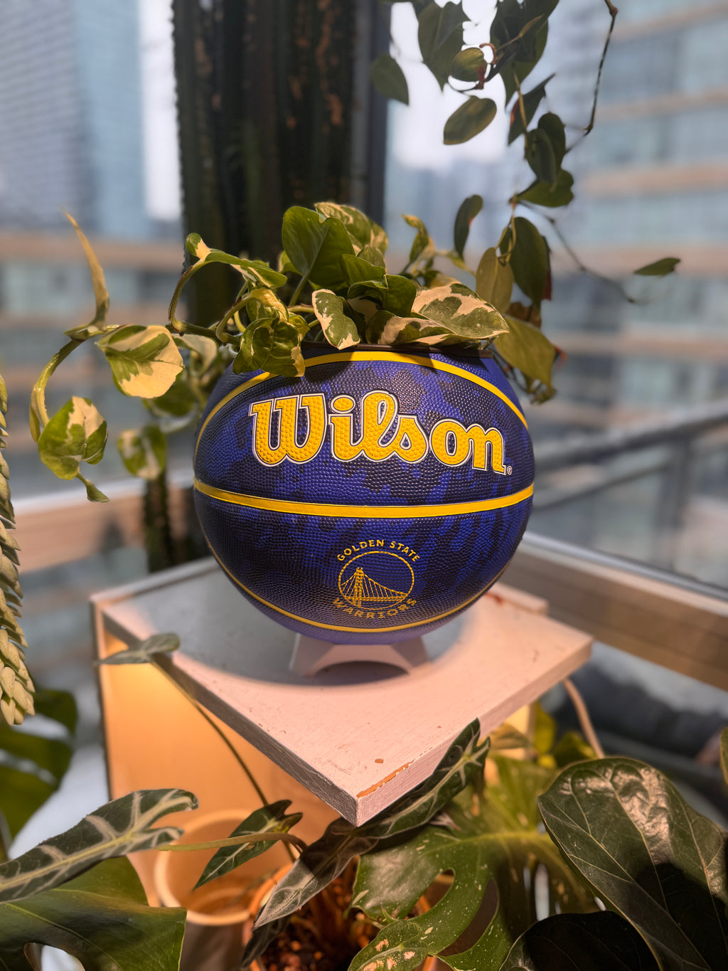 Large Basketball Planter (Golden State Warriors)
