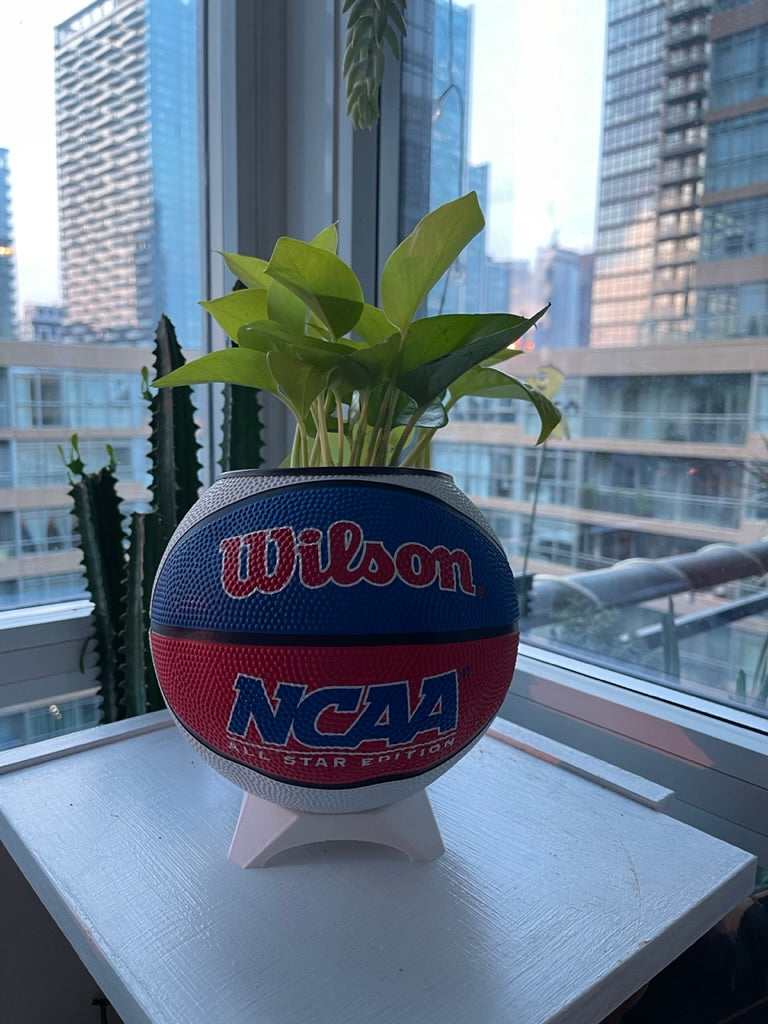 Mini Basketball Planter (NCAA Red/White/Blue)
