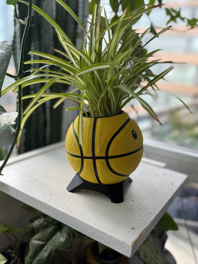 Ultra-Mini Basketball Planter (Chicken)