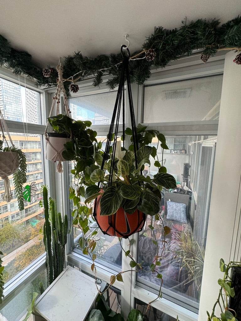 Nike Large Basketball Hanging Planter (Black Macrame - Original Reversed)