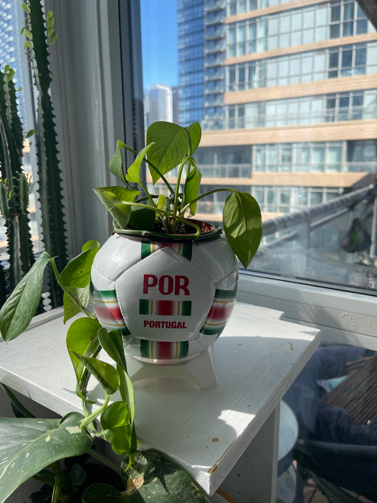 Mini Soccer Ball Planter (Portugal)