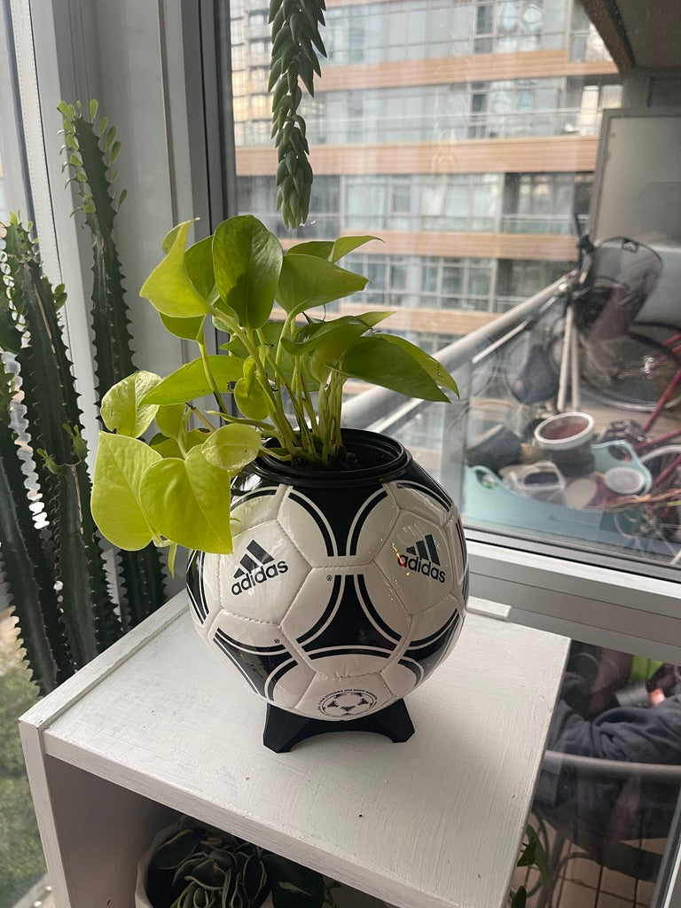 Adidas Large Soccer Ball Planter (The OG)