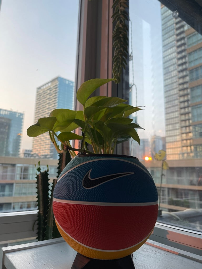 Nike Mini Basketball Planter (Team Orange)