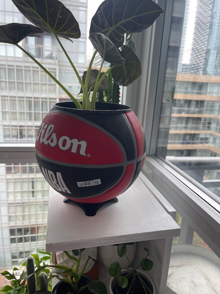 Large Basketball Planter (Toronto Raptors)