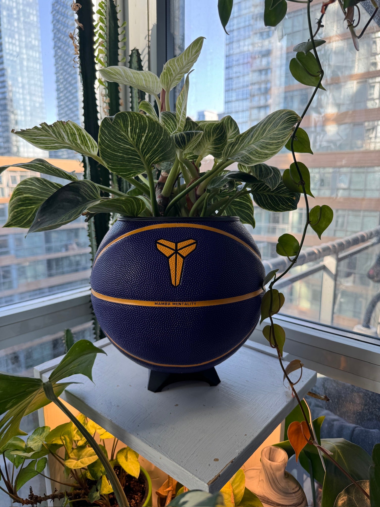 Nike Jordan Large Basketball Planter (Kobe Bryant Mamba Purple)